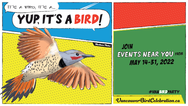 Vancouver Bird Celebration 2022