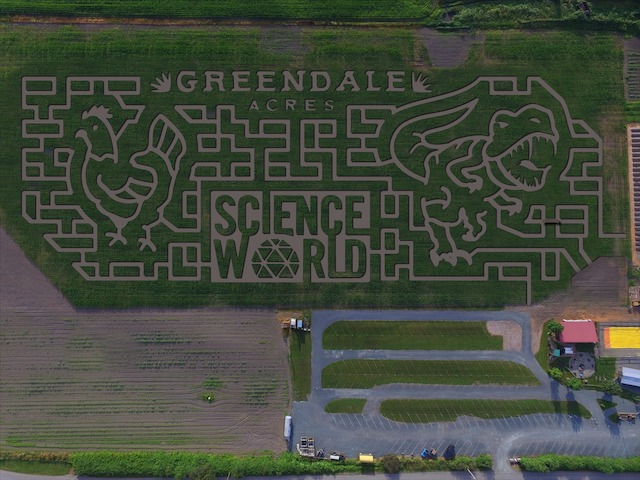 Greendale Acres Chilliwack Corn Maze 2022