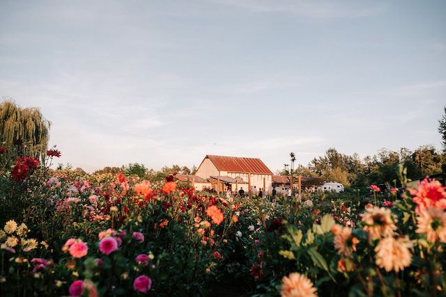 Sage & Solace Farm / Photo by Megan Ashley Creative