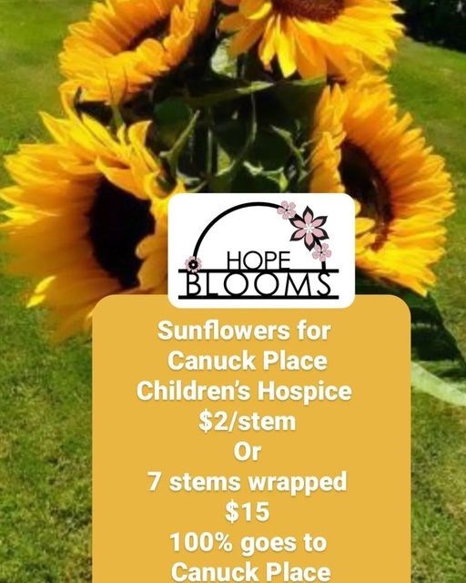 Sunflower Sale for Canuck Place