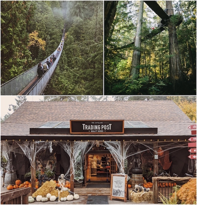 Canyon Frights Halloween at Capilano Suspension Bridge Park