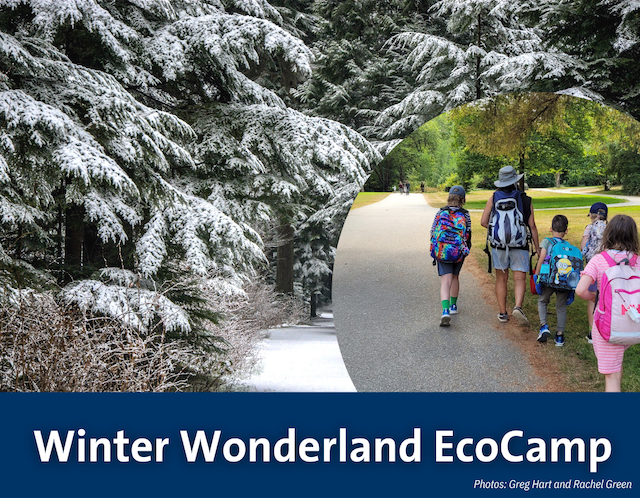 Stanley Park Winter Day Camp
