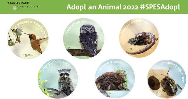 Adopt-An-Animal in Stanley Park