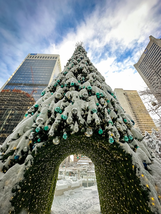 Downtown Vancouver Snow - Rebecca Bollwitt Miss604 2