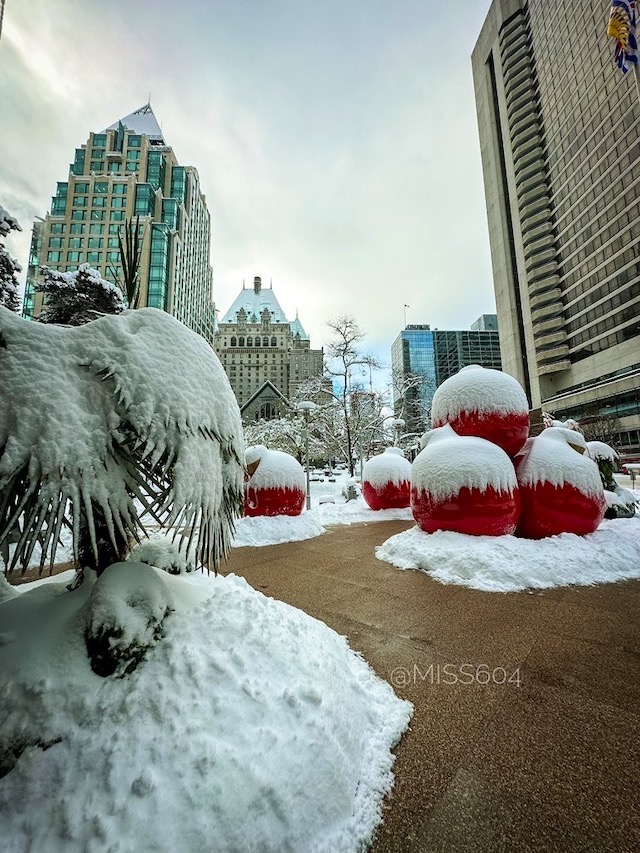 Downtown Vancouver Snow - Rebecca Bollwitt Miss604 