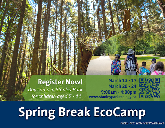 Spring Break EcoCamp in Stanley Park 2023