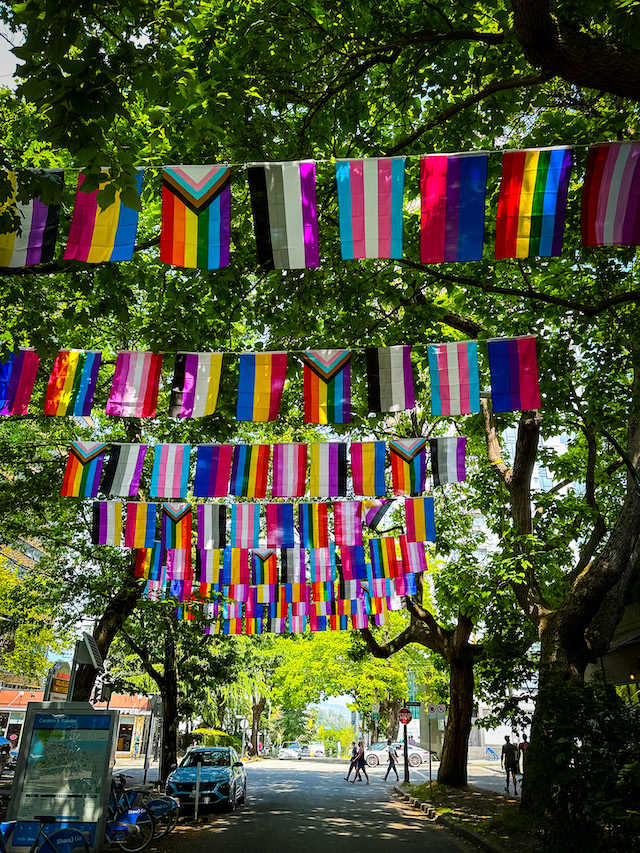 Vancouver Pride Flags Miss604