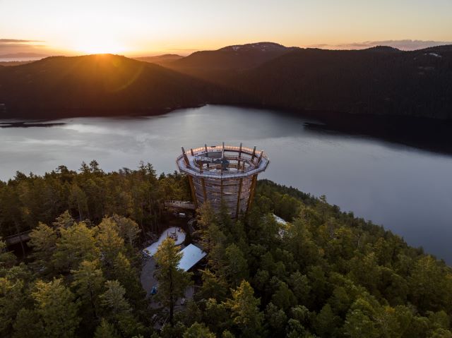 Malahat Skywalk Summer