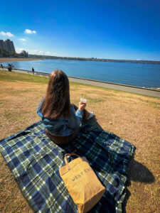 Beach Picnic Vancouver West End Miss604