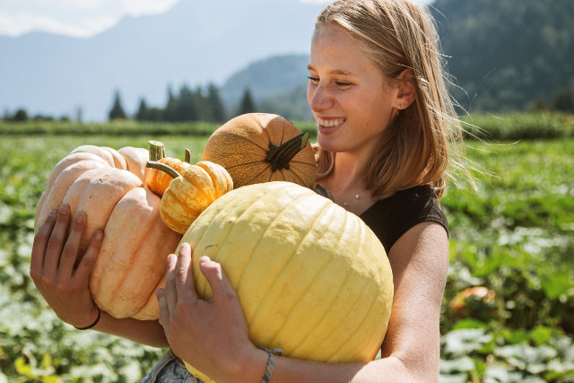 Harrison Pumpkin Festival