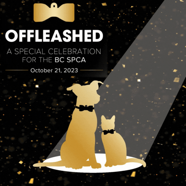 Get tickets for Offleashed in support of the BC SPCA Oct 21