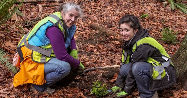 Volunteer Planting Events with Stanley Park Ecology Society