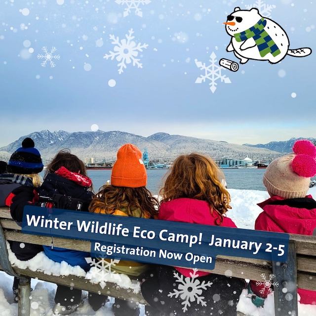 winter break day camps in Stanley Park