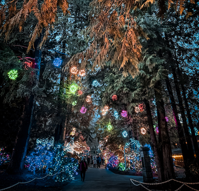 Free Holiday Light Displays Vancouver Miss604 Photo