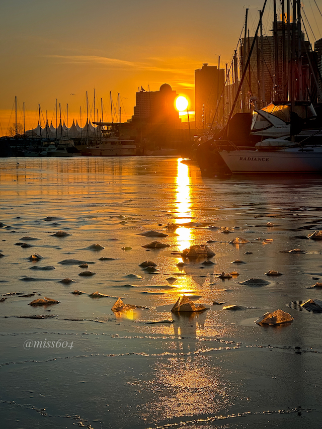 Vancouver winter cruises, trains & attractions guide 78 Image