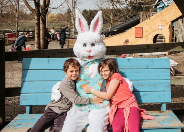 Maan Farms Easter Bunny
