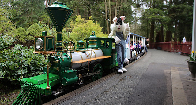 Stanley Park Easter Train Bunny