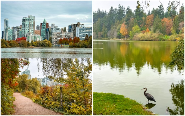 Lost Lagoon Autumn Miss604 Bollwitt Photo