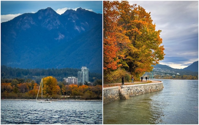 Ravine Trail Stanley Park Seawall Miss604 Bollwitt Photo