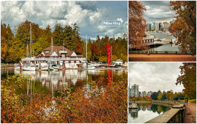 Vancouver Rowing Club Stanley Park Miss604 Bollwitt Photo