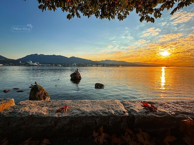 Girl in a Wetsuit Vancouver Autumm Miss604 Bollwitt photo