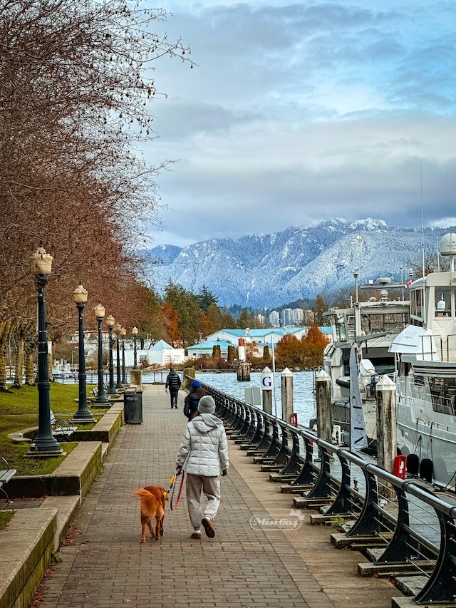 November in Coal Harbour Miss604 Bollwitt photo