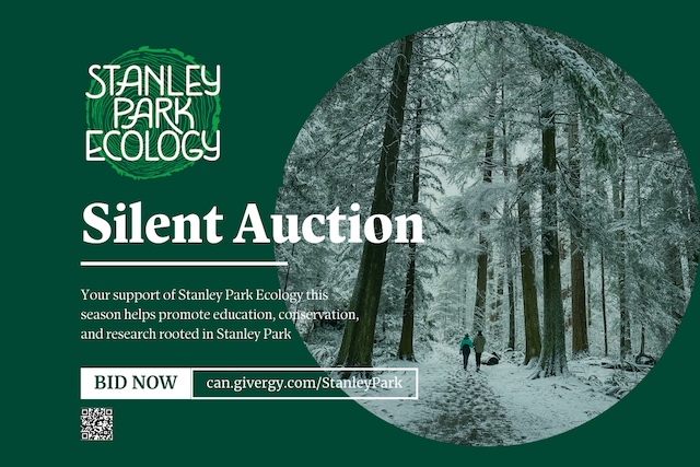 Stanley Park Ecology Winter Silent Auction 2024