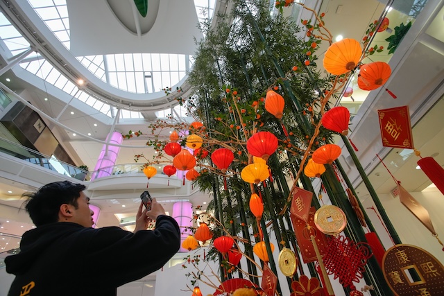 Lunar New Year Metropolis at Metrotown Harrison Ha Photo