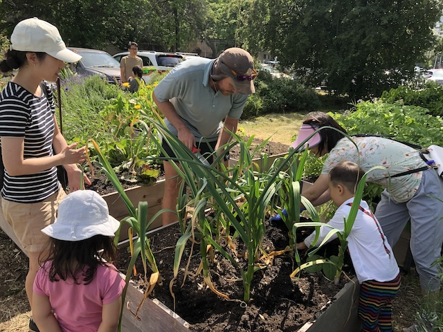 Food Garden at Lansdowne Centre - Free Gardening Workshops in Richmond