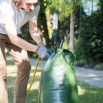Adopt-a-Tree Program in Vancouver
