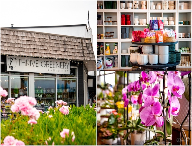Thrive Greenery Cloverdale Miss604