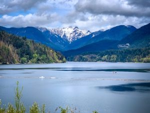 metro vancouver watershed tours - Capilano Miss604