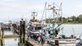 Richmond Maritime Festival - Ships at Dock