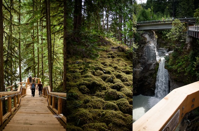 Squamish Canyon - Miss604 Photo