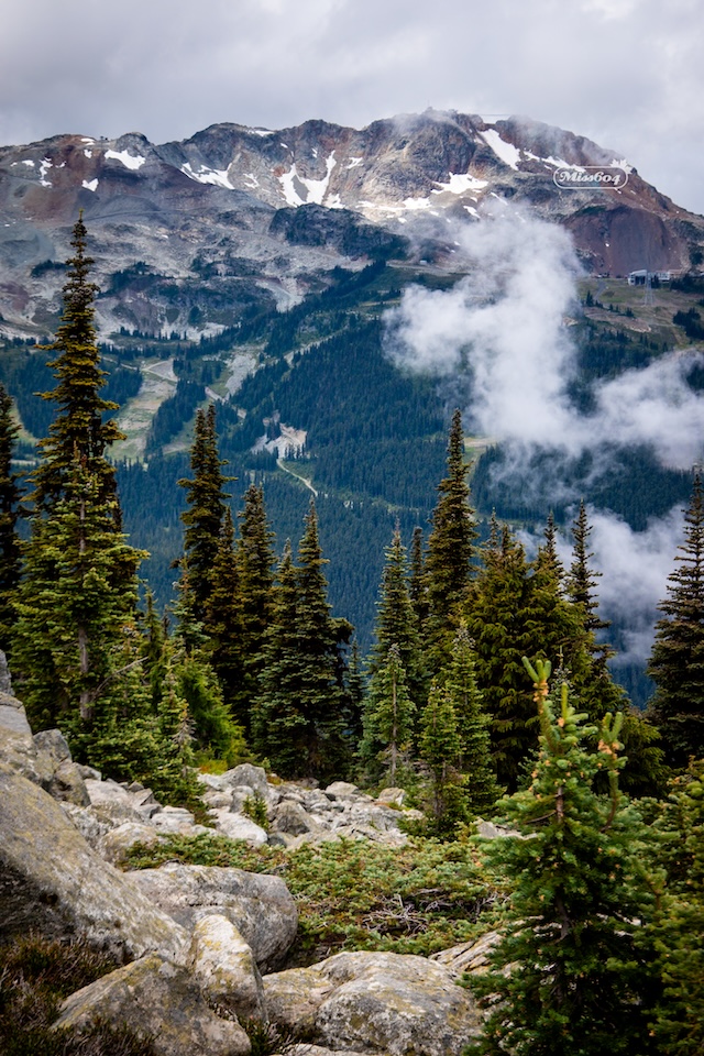 Cloudraker Whistler - Miss604 photo