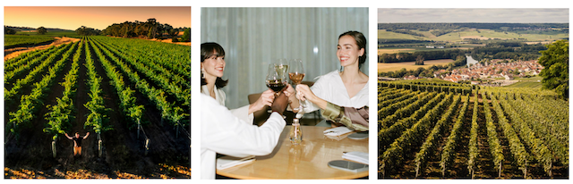 Botanist Winemakers Dinner Series, shots of vineyard and wine bottles with two guests