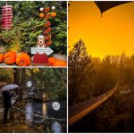 Canyon Frights at Capilano Suspension Bridge Halloween - Miss604 Photo