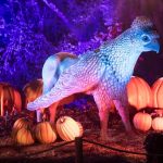 Harry Potter Forest Experience Vancouver Stanley Park
