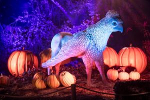 Harry Potter Forest Experience Vancouver Stanley Park