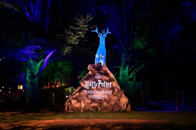 Harry Potter Forest Experience in Stanley Park Vancouver