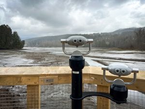 Shoreline Trail Boardwalk, March 2025 - Miss604 Photo