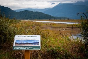 Widgeon Marsh - Miss604 - October 2025