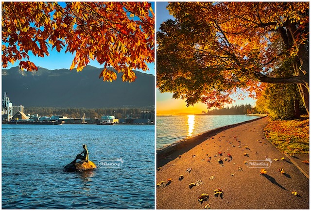 autumn girl in wetsuit statue miss604