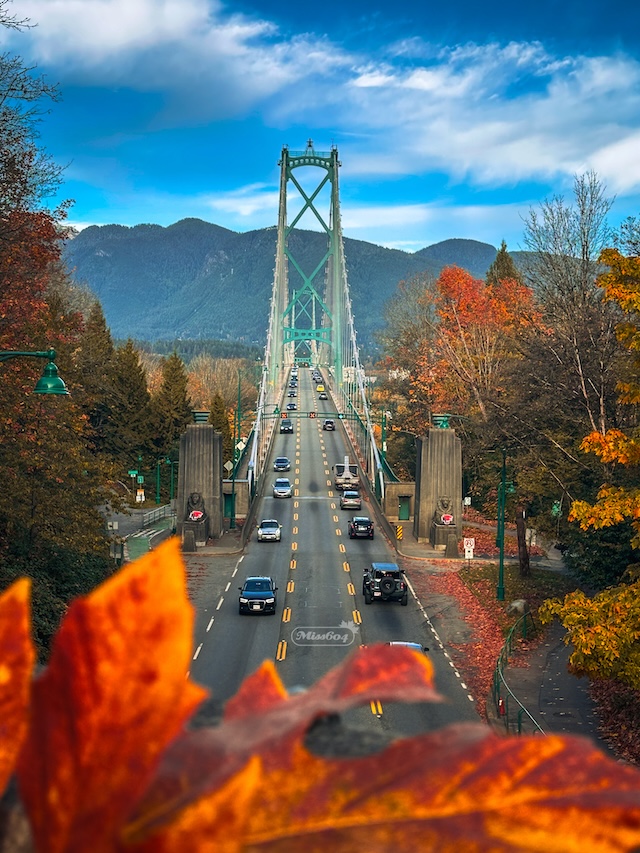 autumn lions gate bridge miss604 vancouver