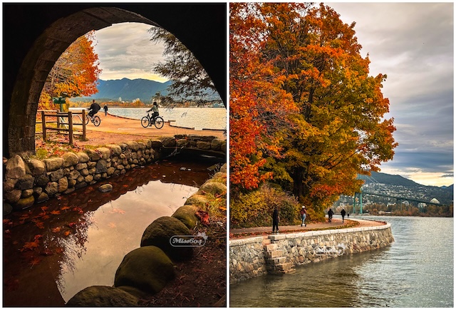 seawall leaves tunnel miss604