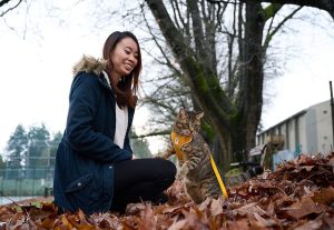 RC Pets Adventure Kitty Harness - Photo Submitted