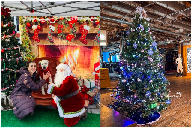 Santa at the Cannery Dog Photos Steveston