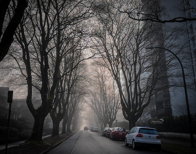 West End Fog - Miss604 Photo