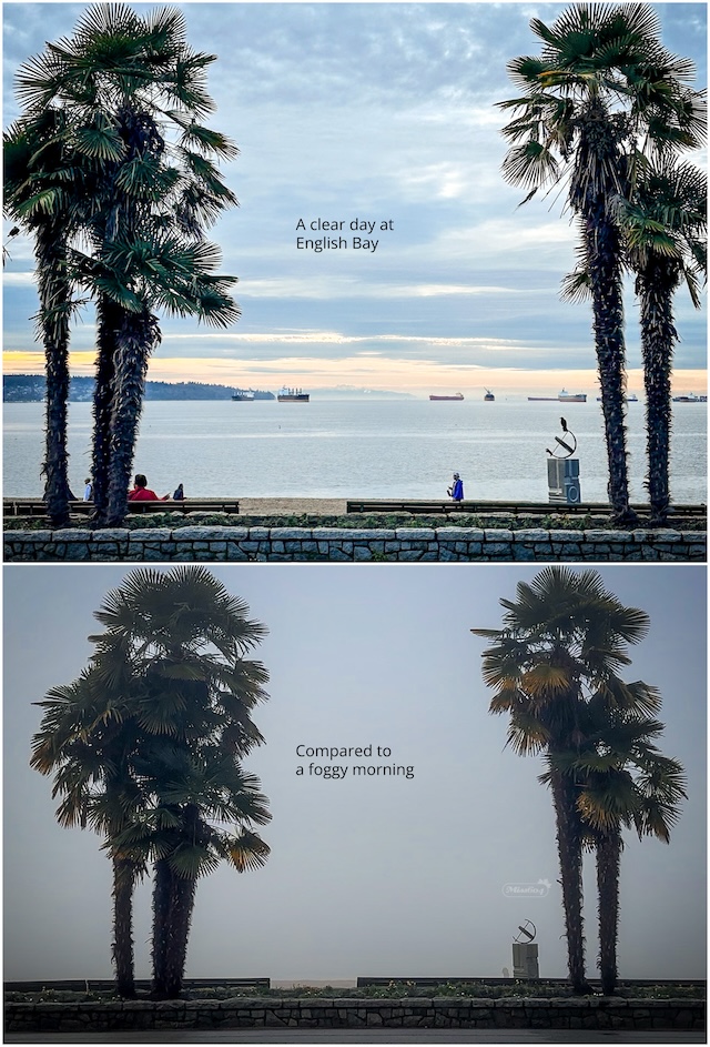 January 9 vs January 19, 2026 - Miss604 fog photos