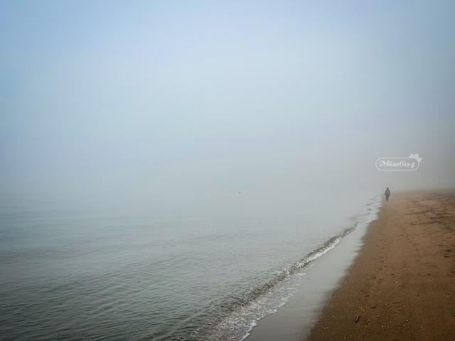 On the beach in the fog. Miss604 photo.